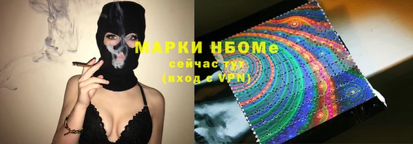 ГАЛЛЮЦИНОГЕННЫЕ ГРИБЫ Тайга
