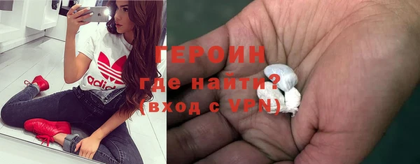ГАЛЛЮЦИНОГЕННЫЕ ГРИБЫ Тайга