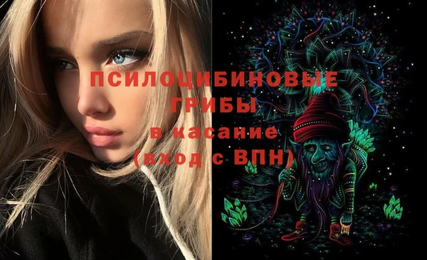 ПСИЛОЦИБИНОВЫЕ ГРИБЫ Бородино